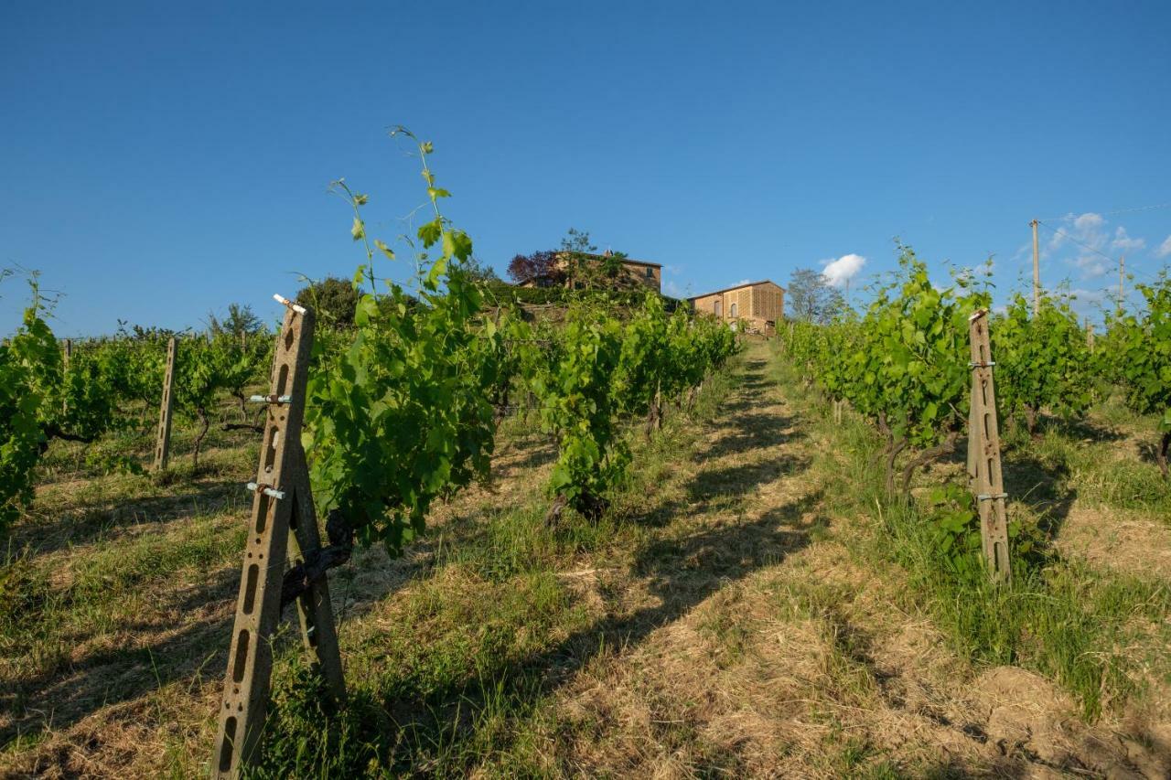 Borgo Amarrante Holiday home