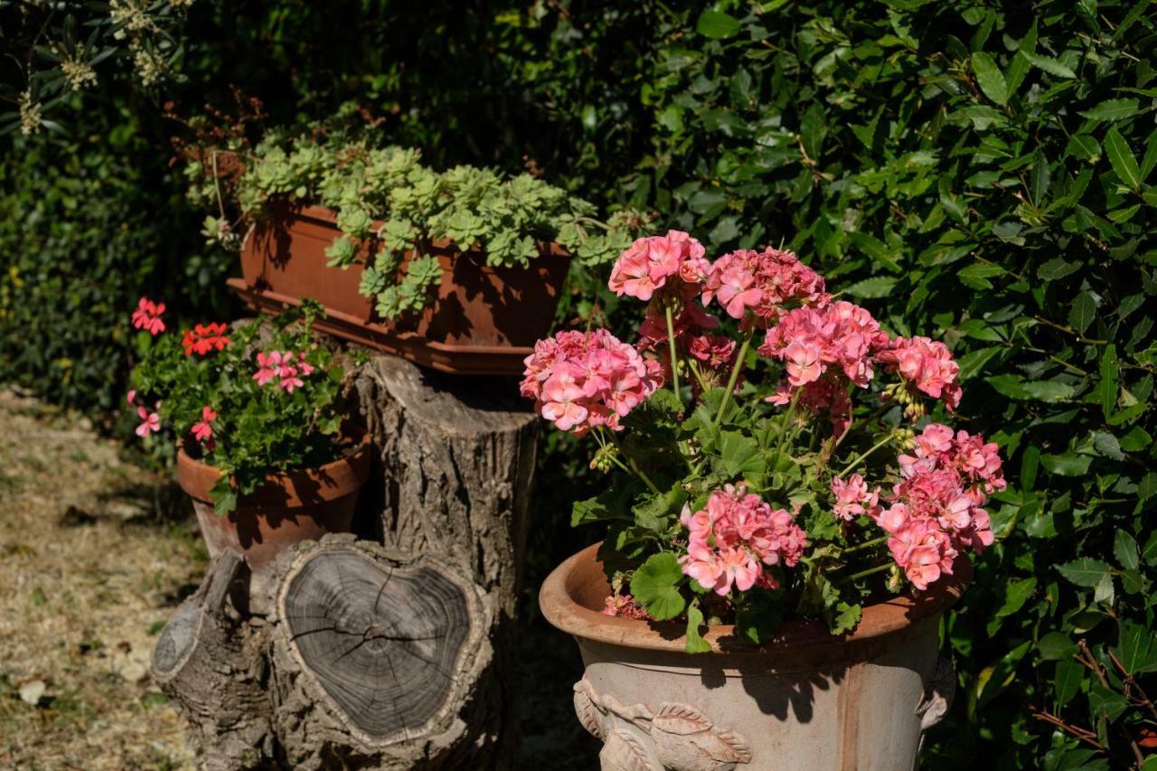 Borgo Amarrante Holiday home