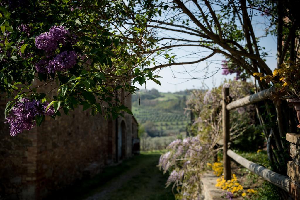 Borgo Amarrante Holiday home Montaione