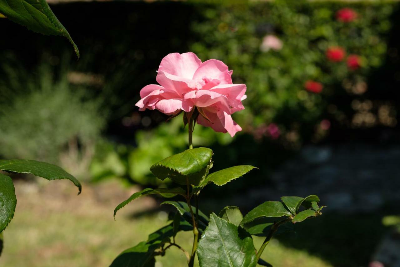 Holiday home Borgo Amarrante *