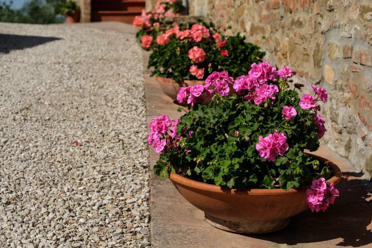 Holiday home Borgo Amarrante Montaione